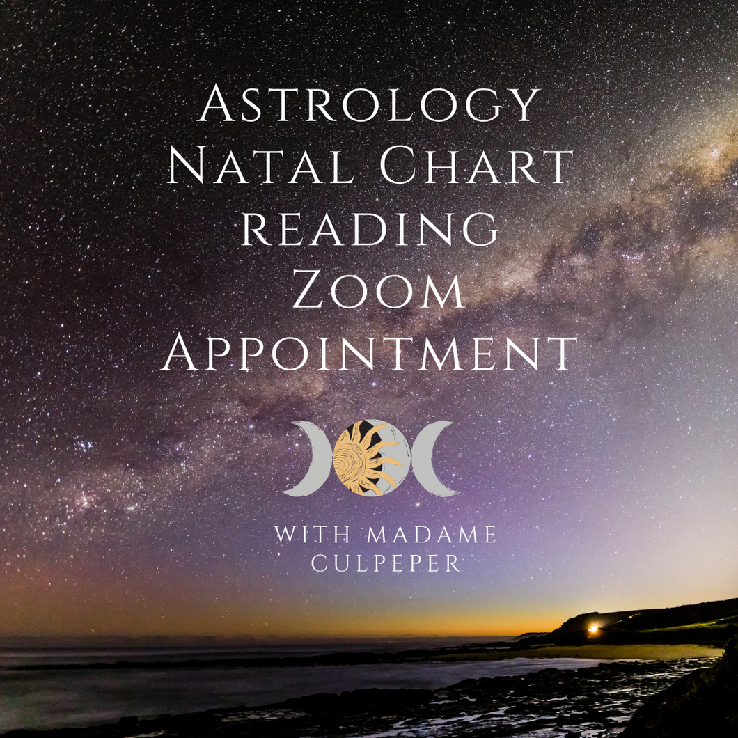 Astrology Natal Chart Reading Zoom Appointment