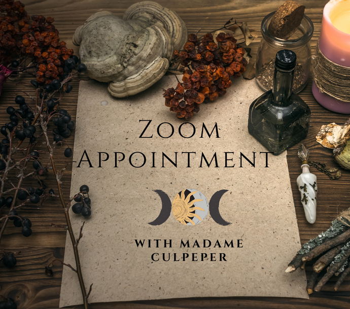 Witchcraft Zoom Appointment - 30 minutes